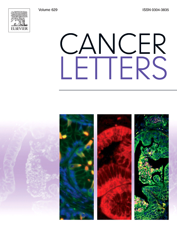 METTL3-mediated HSPA9 m6A modification promotes malignant transformation and inhibits cellular senescence by regulating exosomal mortalin protein in cervical cancer